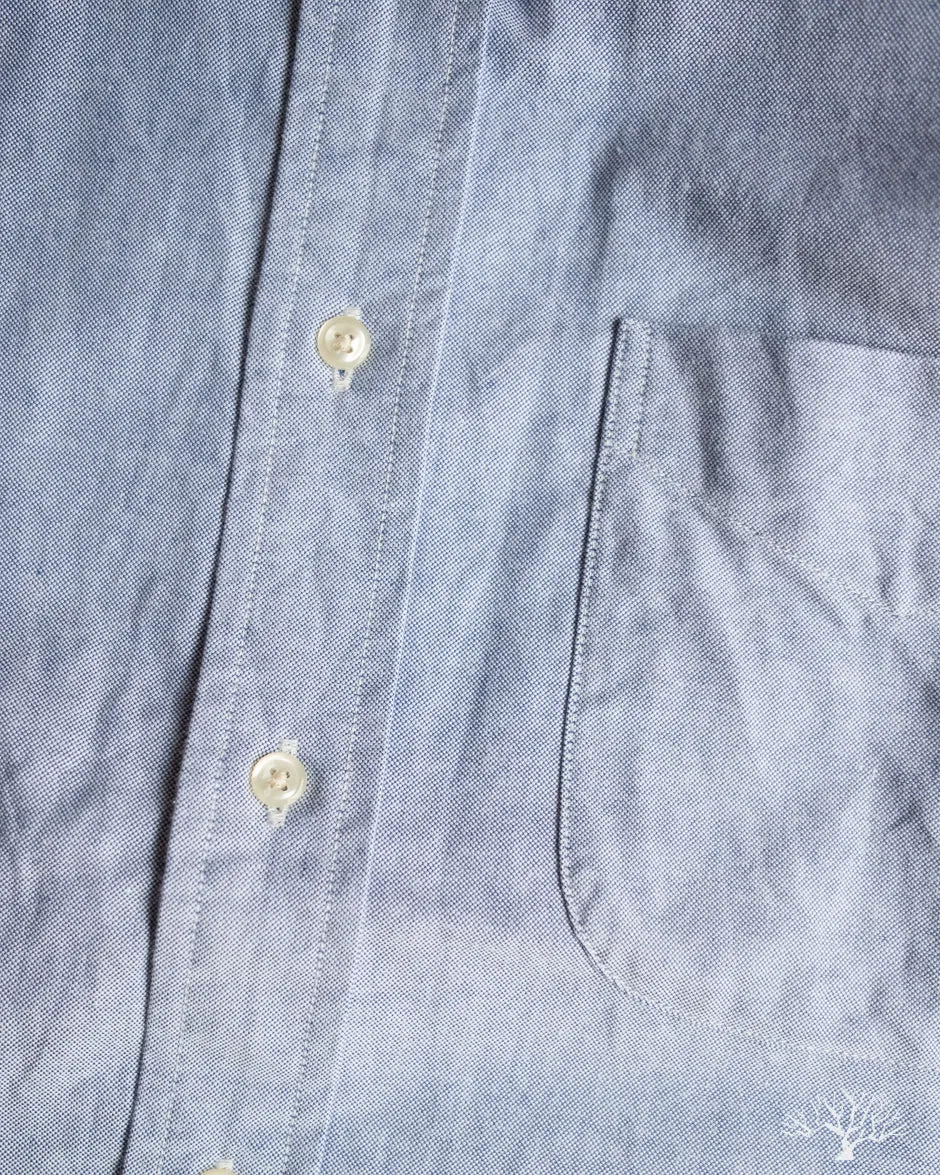 Oxford Standard Button Down Shirt - Light Blue